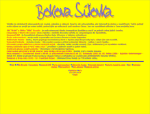 Tablet Screenshot of boko.cz
